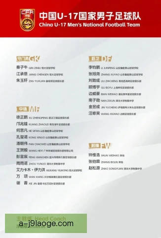 南美十七岁以下锦标赛调整换人，各队轮换策略生变
